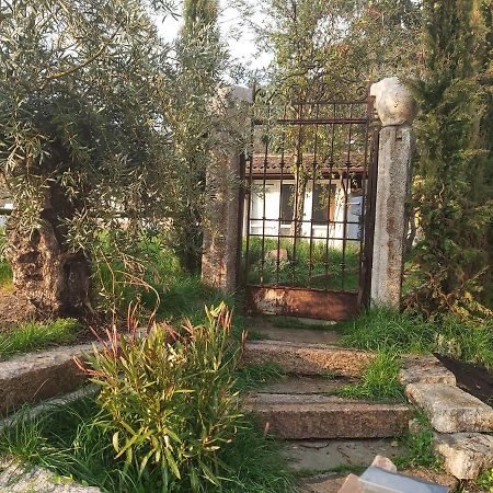 Romantico Palazzo Dei Ulivi Purasca Zewnętrze zdjęcie